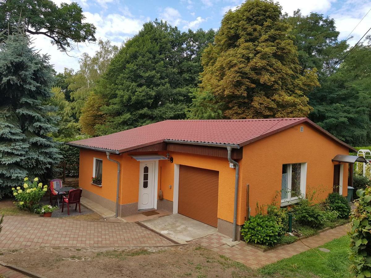 Ferienhaus Dübener Heide Apartamento Bad Düben Exterior foto